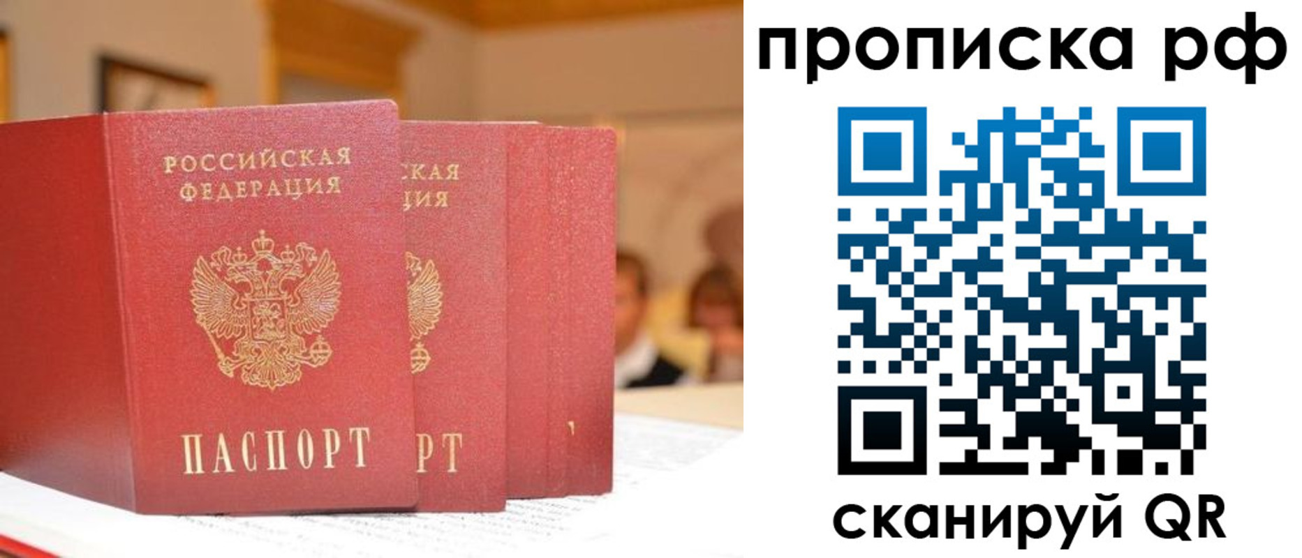 купить прописку в Ермолино