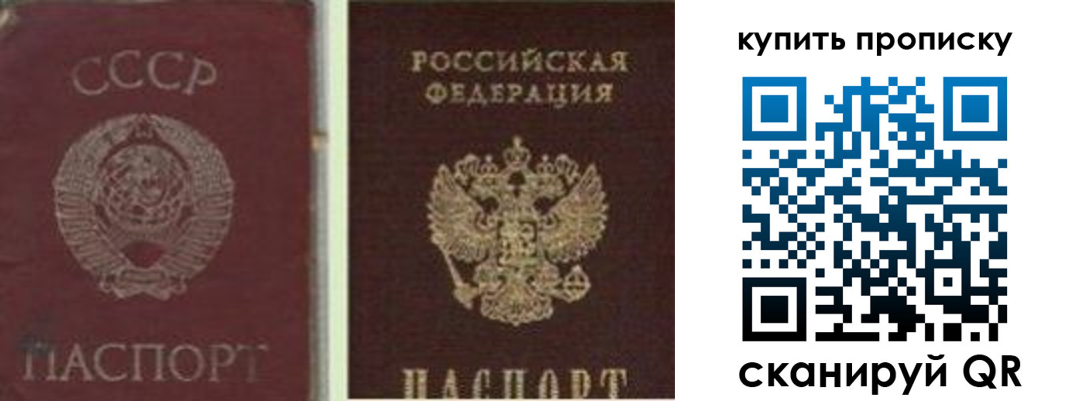 прописка 2025 в Ермолино
